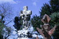 Exhumation Service from Sharkey Funeral Directors. 